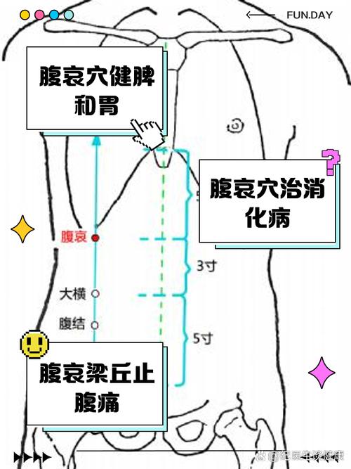 人体穴位腹哀的位置