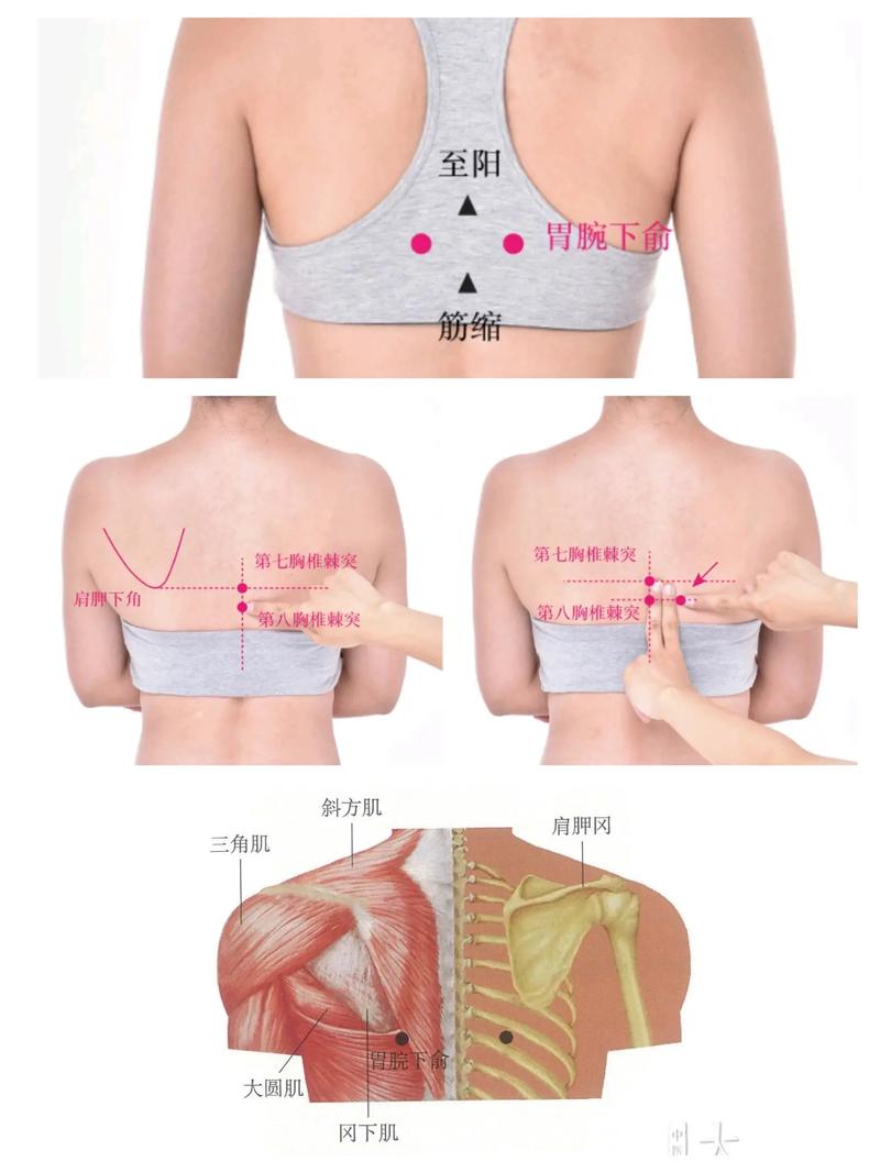 胃息肉艾灸什么穴位