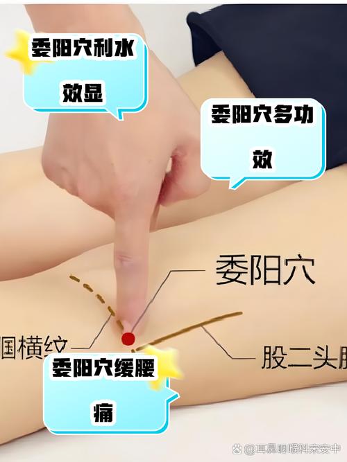 提高性功能穴位保健