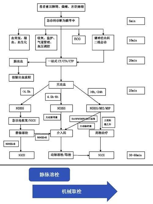 脑梗血管堵塞手术方案