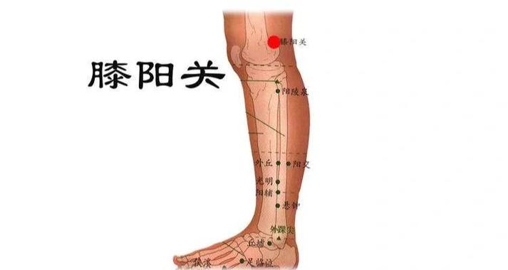 腿酸软按摩哪个穴位
