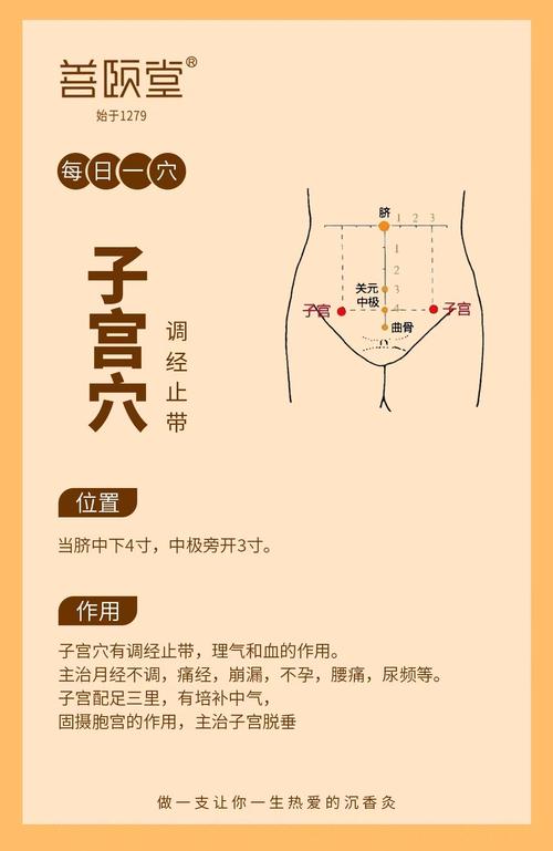 子宫下垂按什么穴位