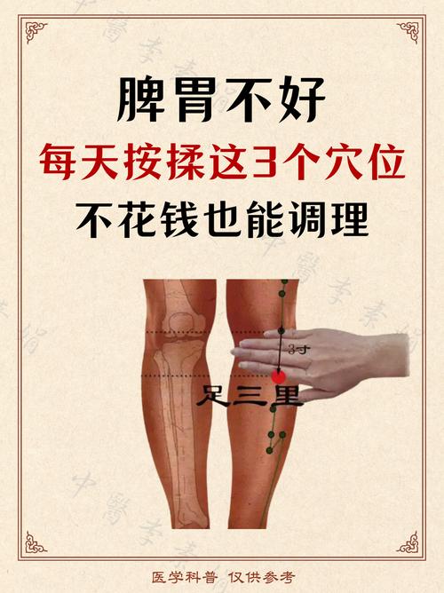 脾不好怎么按摩穴位