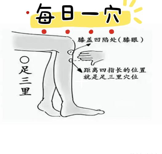 小腿胀按摩那个穴位
