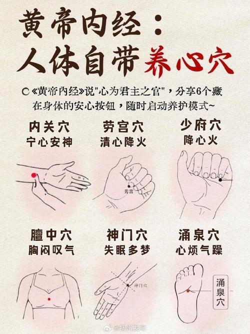 按摩哪个穴位管心脏