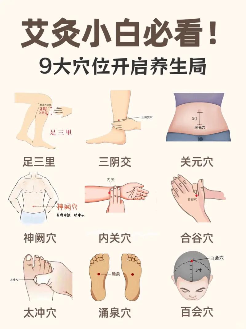 学生应该艾灸的穴位