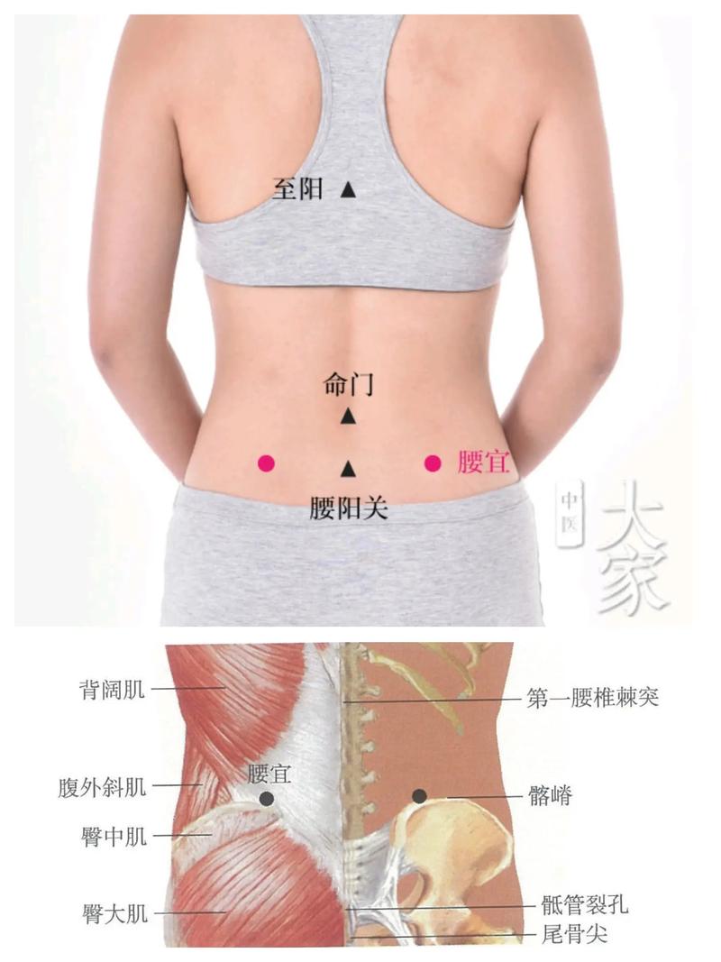 那个穴位可以冶腰痛