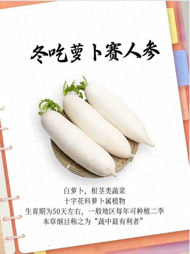 类风湿可以吃白萝卜吗