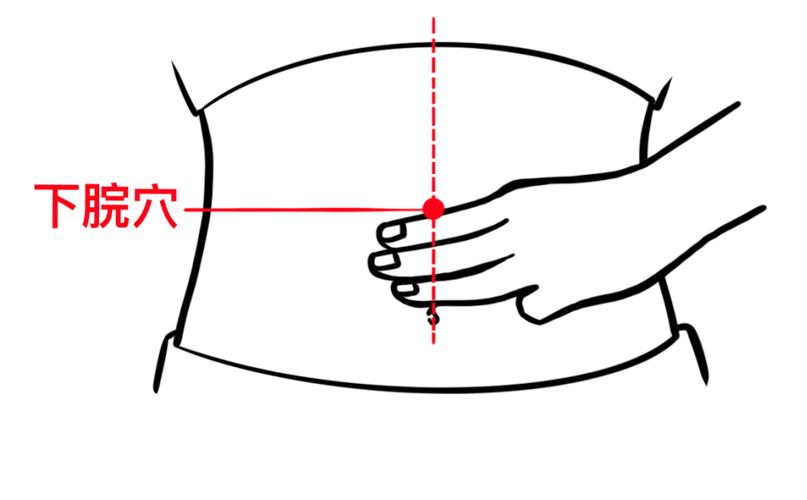 下脘穴位位置图作用
