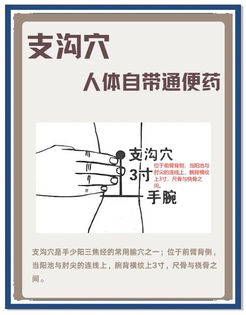 肠梗阻针灸哪个穴位