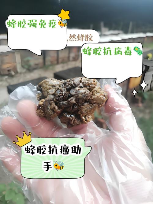 蜂胶对类风湿有作用吗