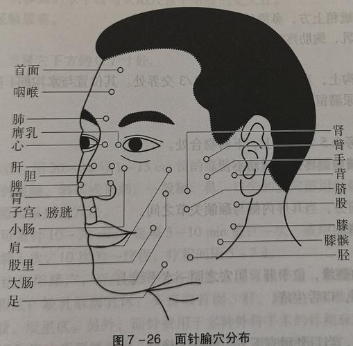 面瘫针灸要哪些穴位