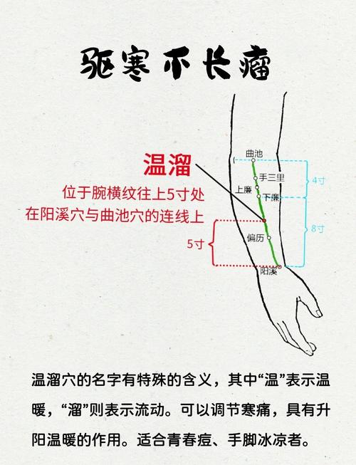 人体驱寒最好的穴位