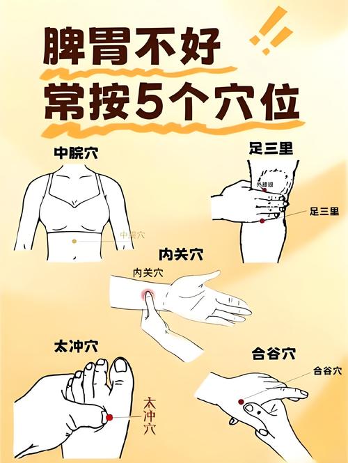 壮阳穴位哪个最有校