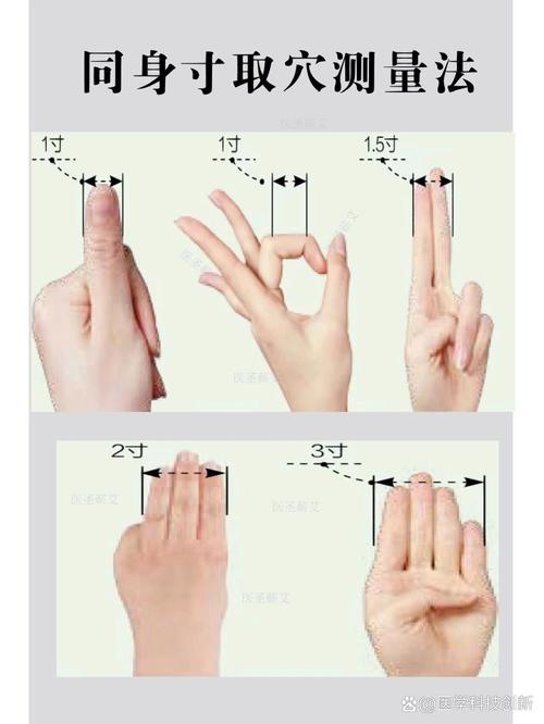 穴位寸的丈量同身寸