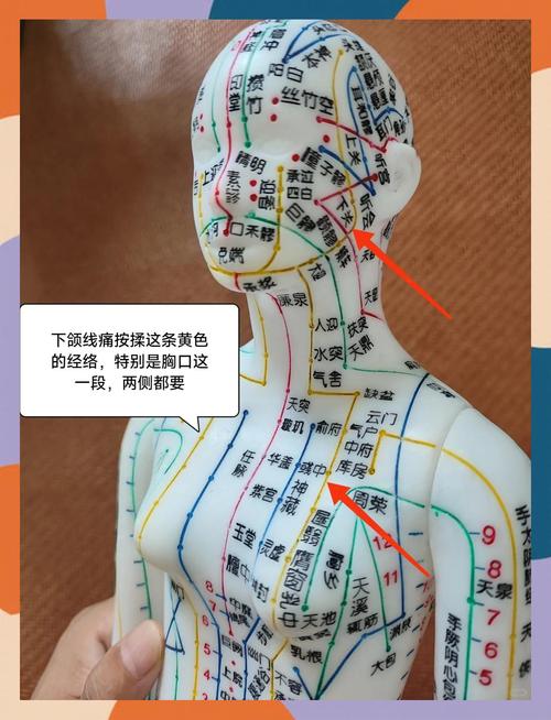 下颌角下面什么穴位