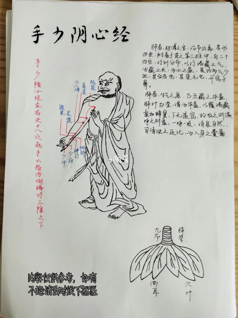 手少阴心经穴位详解