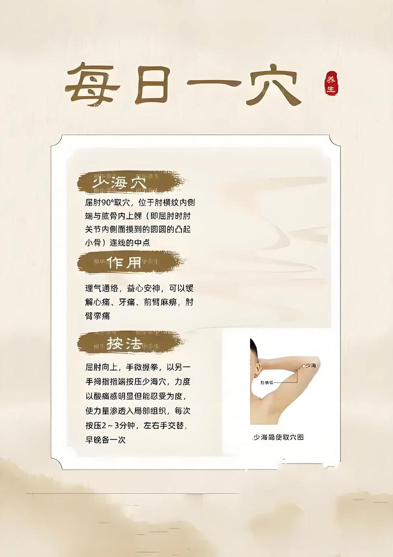 手少阴心经穴位详解