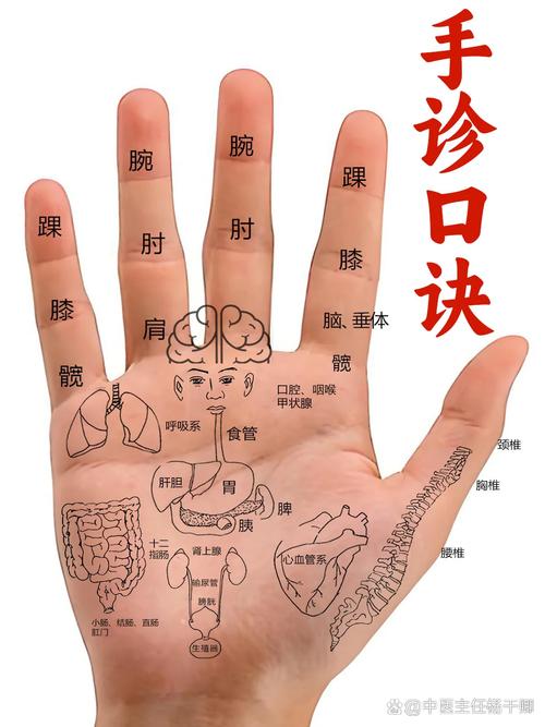 右手食指是什么穴位