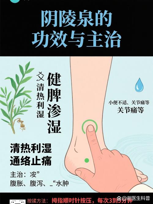 穴位阴陵泉痛什么病