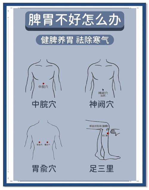 脾虚严重按什么穴位