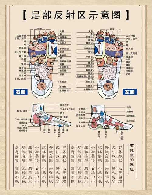脚底穴位及主治功能