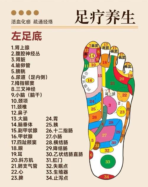 脚底穴位及主治功能