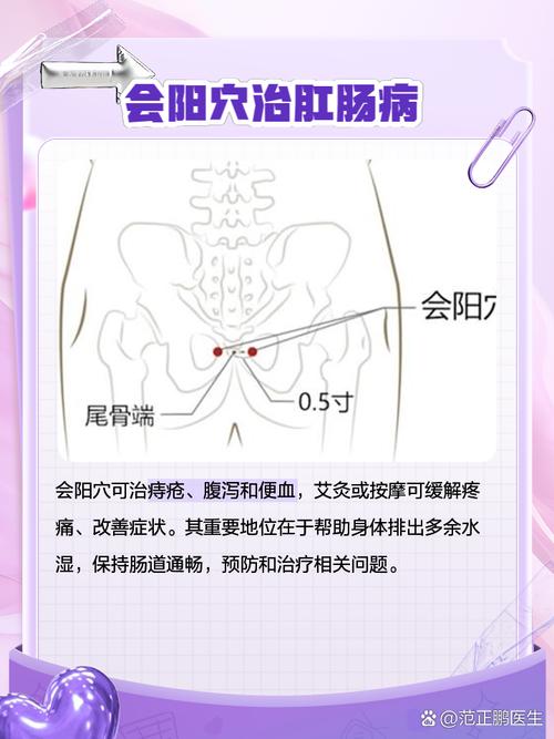 肛门与骶骨之间穴位