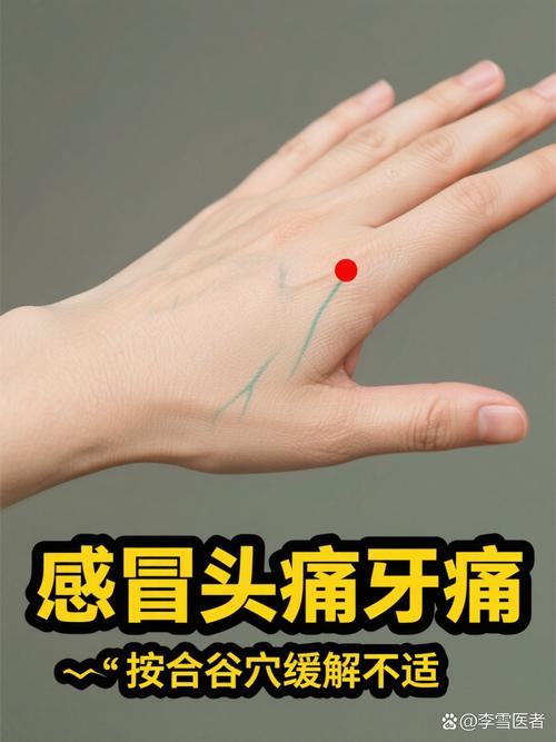 虎口之间是什么穴位