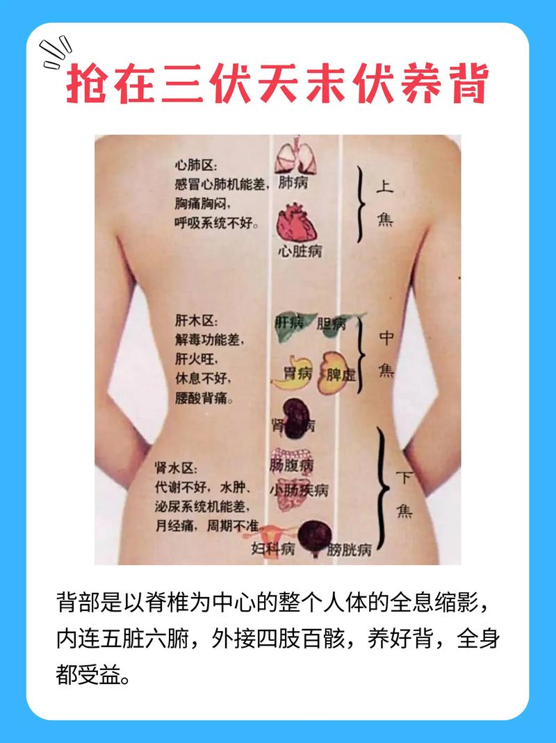 后背穴位位置与作用