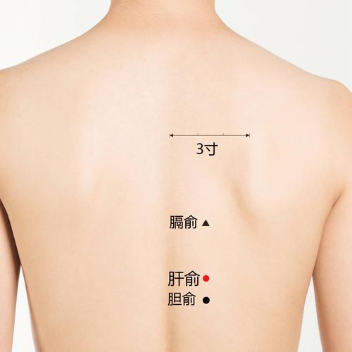 芒种调理的重要穴位