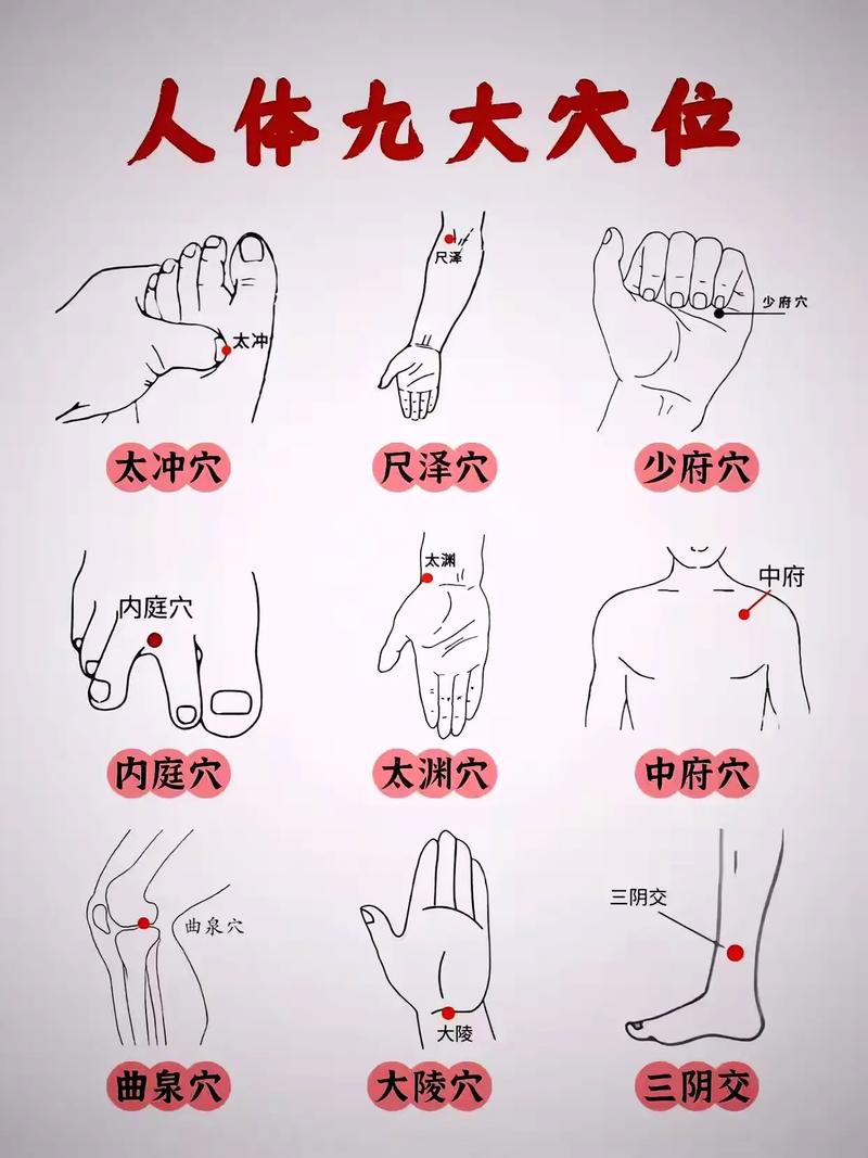 人体常用穴位参照表