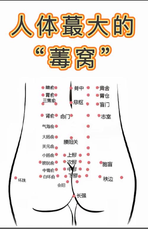 防止流产用哪个穴位