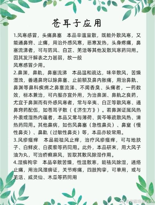 苍耳子可以治疗风湿吗