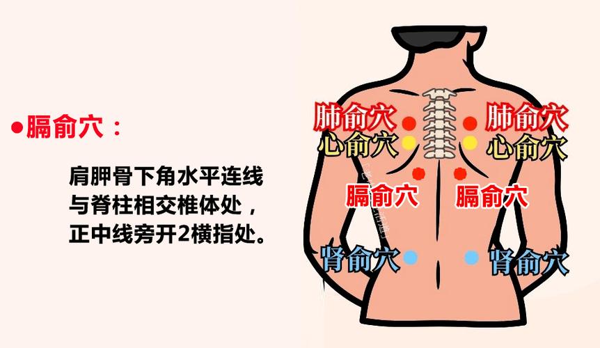 老人退烧灸哪个穴位