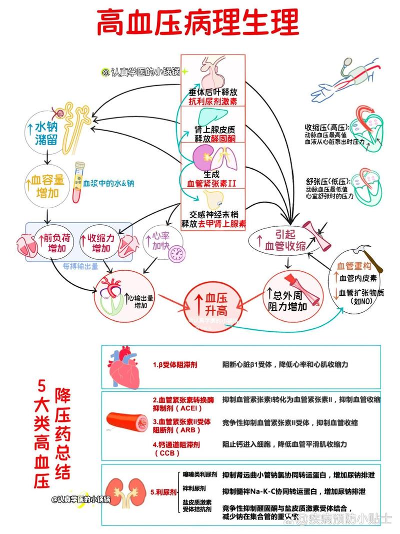 高血压引起脑梗的机制
