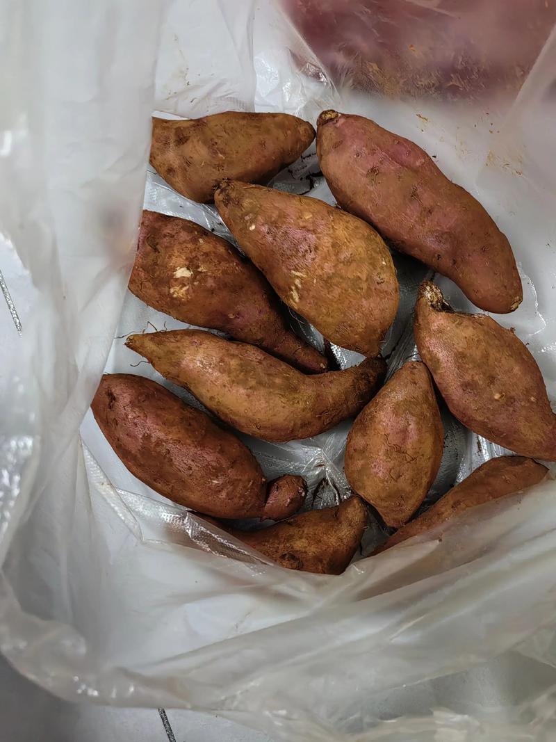 脑梗患者可以吃地瓜吗