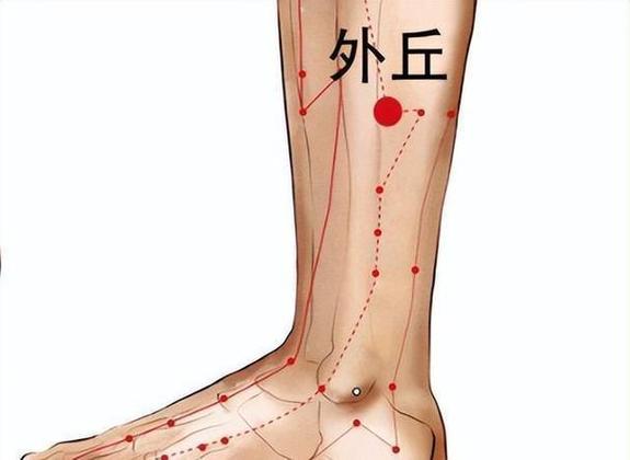 腿肚外侧是什么穴位