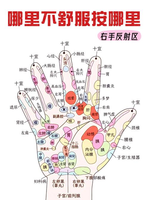 手掌对应的胆囊穴位