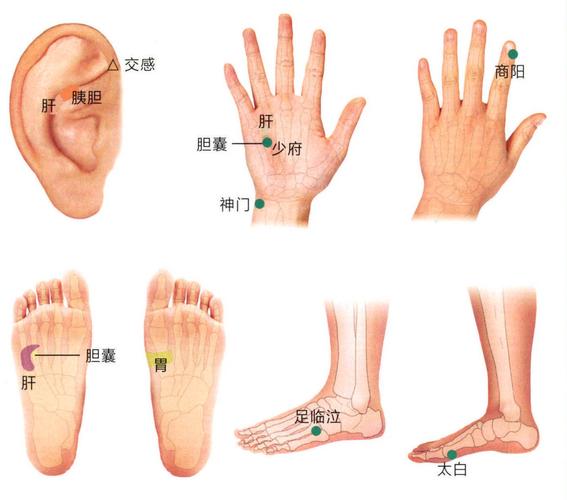 手掌对应的胆囊穴位