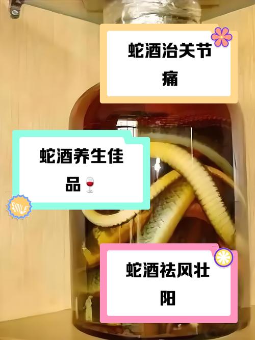 为什么泡蛇可以治风湿