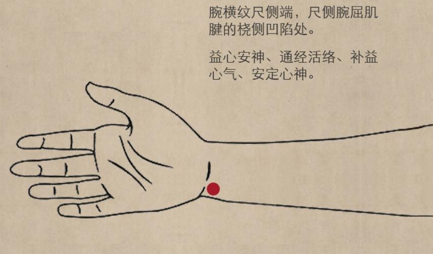 上肢偏瘫穴位有哪些