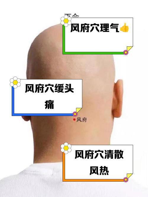 风府穴位位置图大全