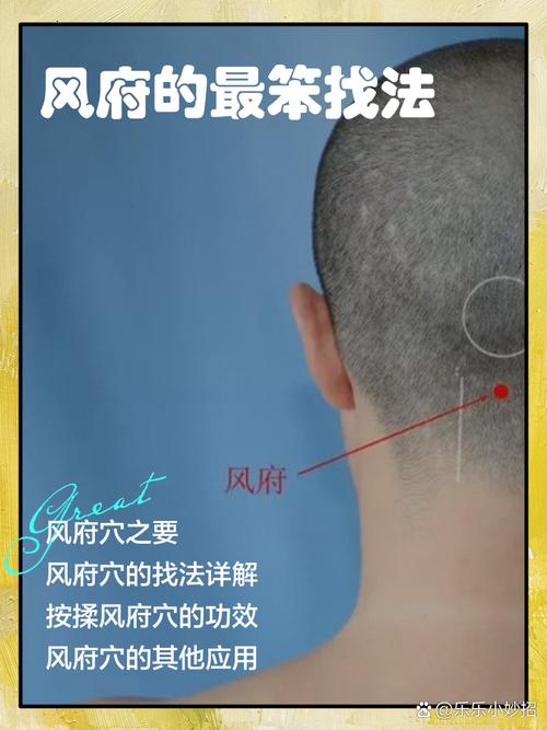 风府穴位位置图大全