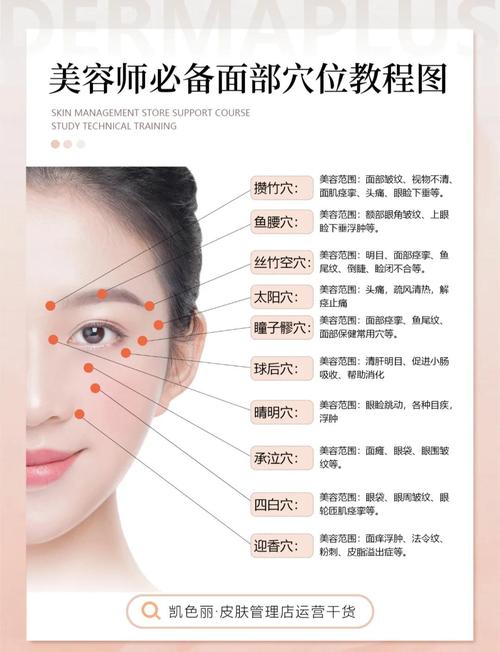 脸部眼睛周围的穴位