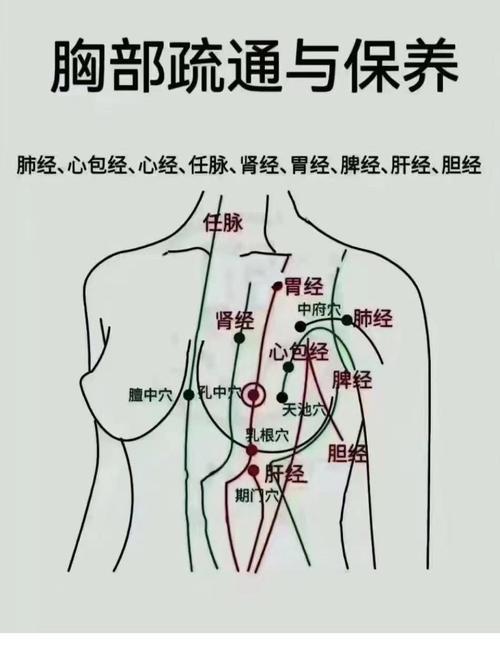 胸部护理用到的穴位