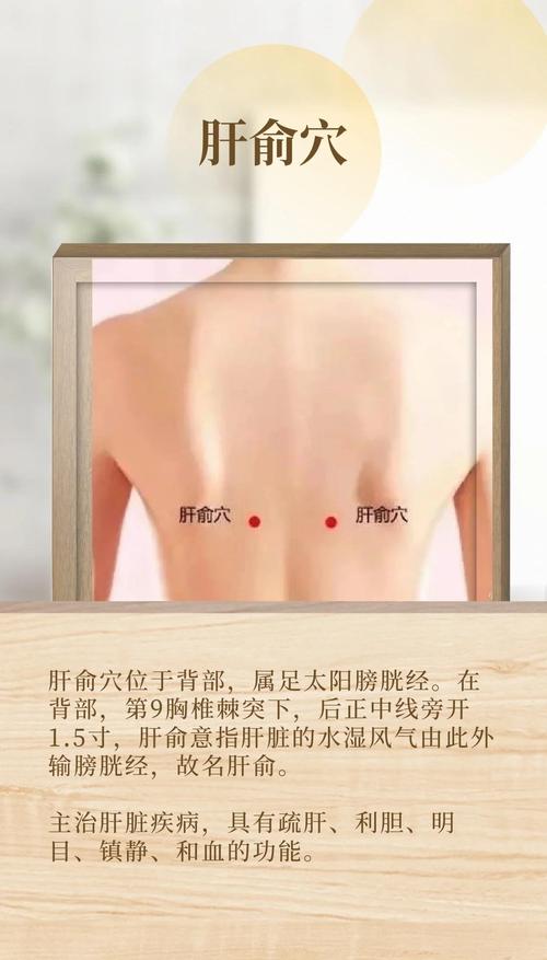 肝胆湿热按哪个穴位