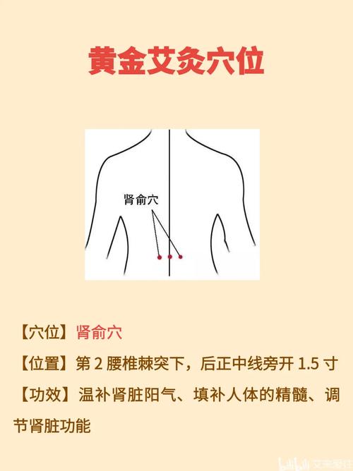 肾部有那些重要穴位