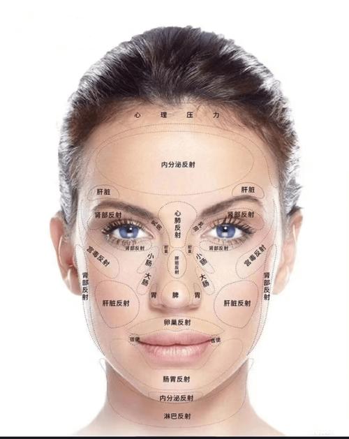 脸上穴位对应内脏图