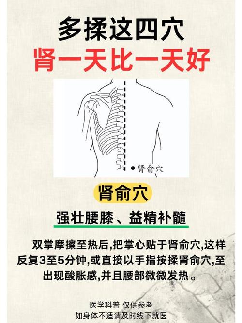 肾结石按压哪个穴位